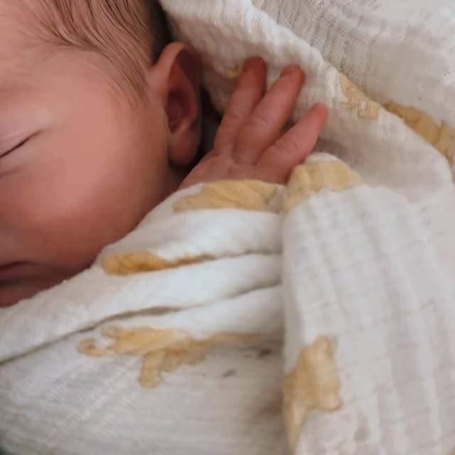 Post by thekellyprice