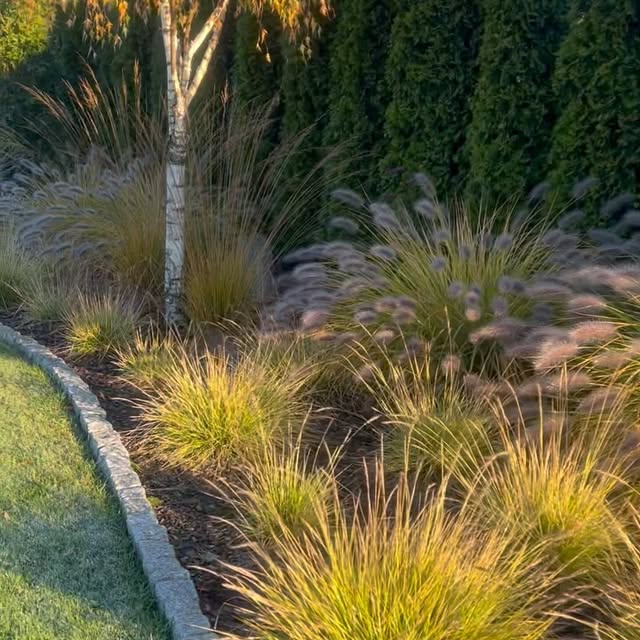 Post by szczypiorkatarzyna