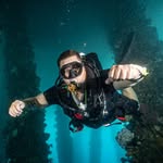 Critter Hunter's profile picture