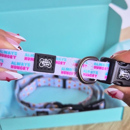 Post by lennyspupshop