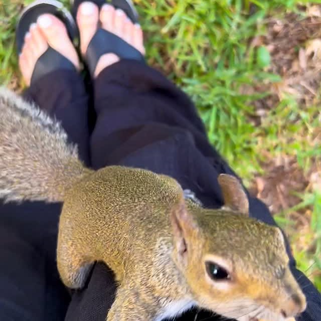 Post by ardilla.maravilla