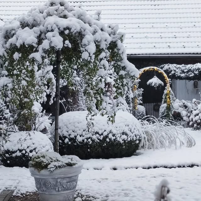 Post by gartenheidisuess