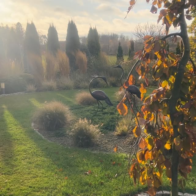 Post by szczypiorkatarzyna