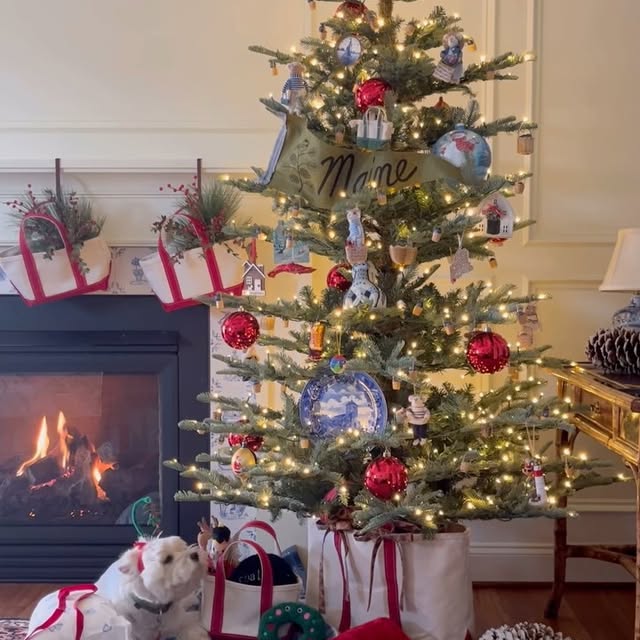 Post by houseandgardendog