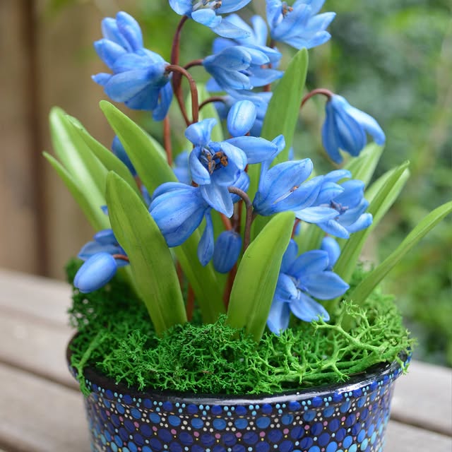 Post by marinaorlova_flowers