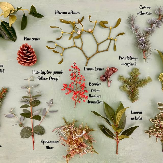 Post by katesinthegarden