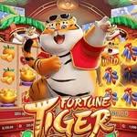 Plataformascombonus's profile picture