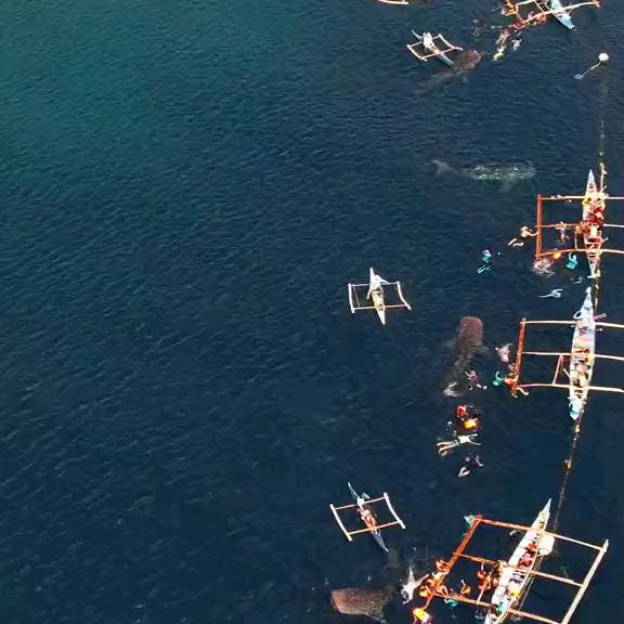 Post by scuba_diving_iglover