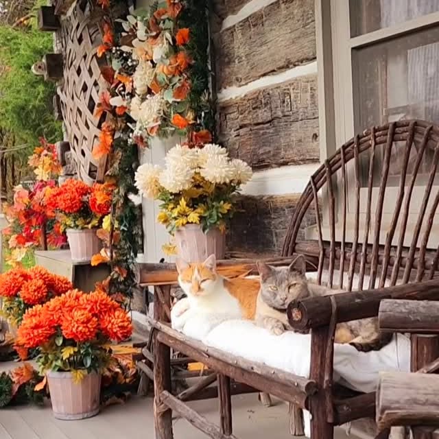 Post by happydaysfarm