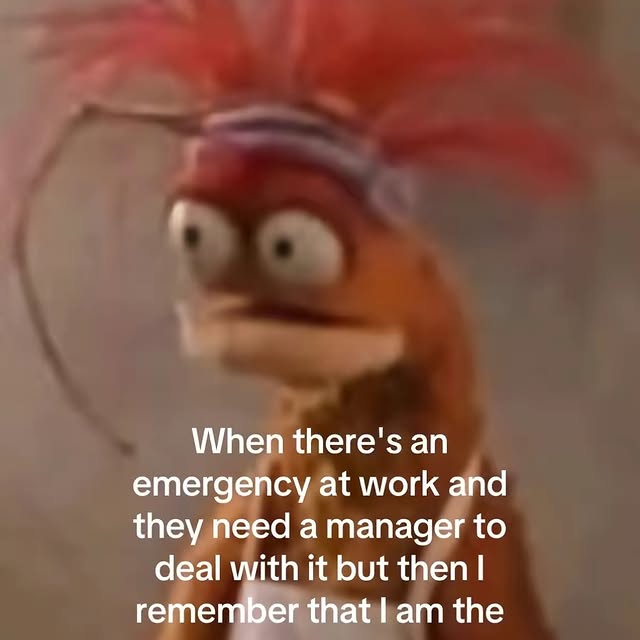 Post by bonniedilber