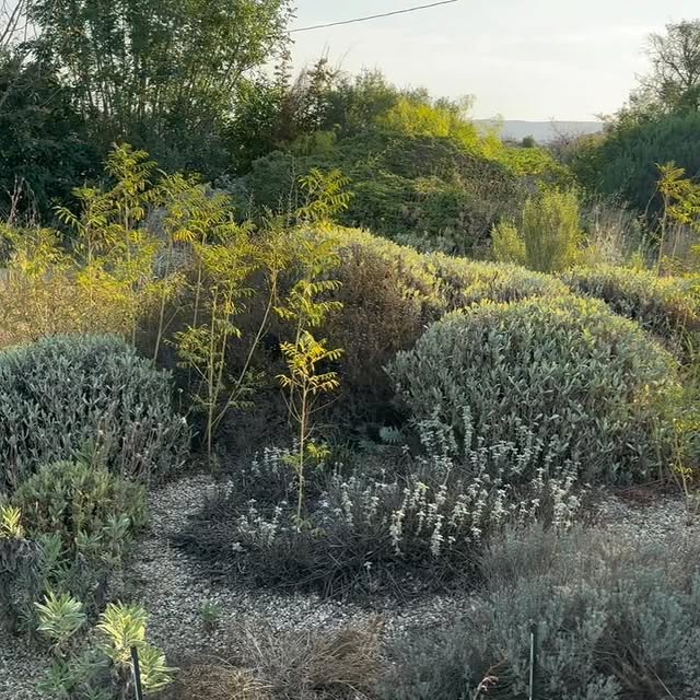 Post by danpearsonstudio