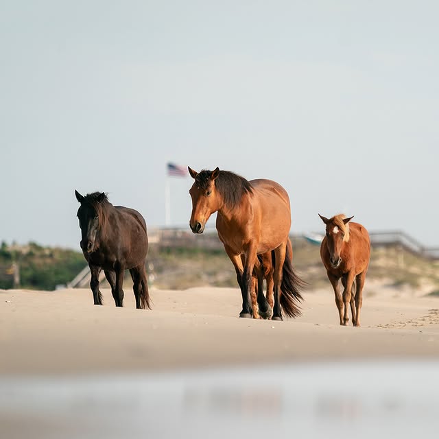 Post by southernhomemag