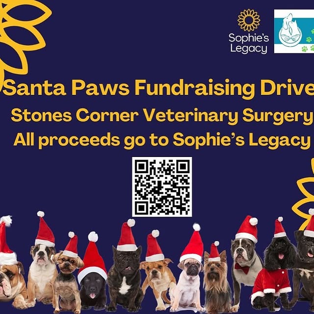 Post by sophies.legacy