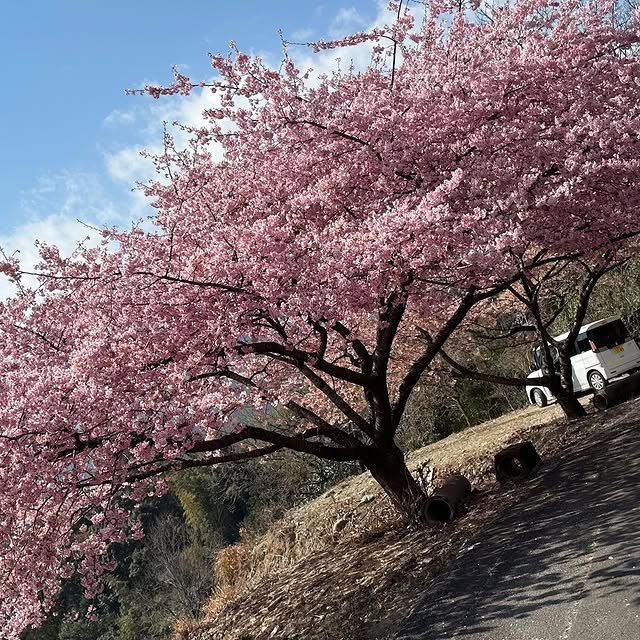 Post by shun.naka_liberty.club