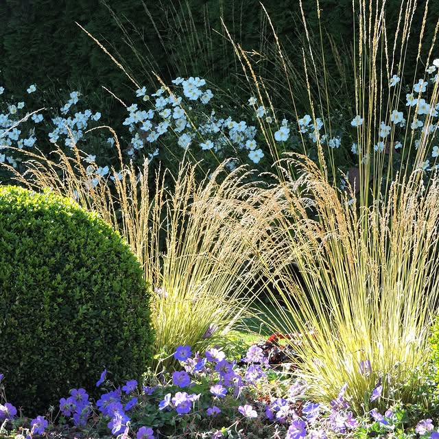 Post by garden_by_marta