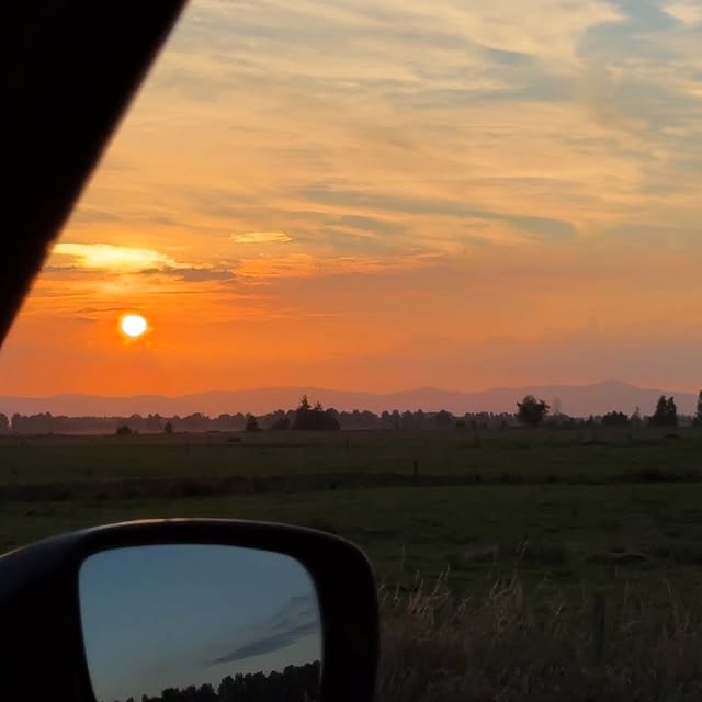 Post by lydiavioleta_