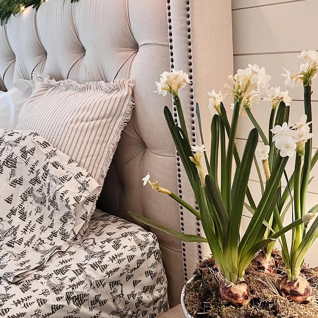 Post by thedailynest