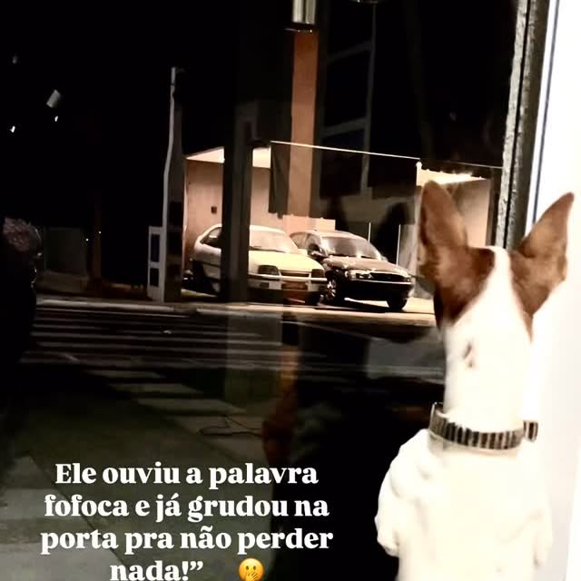 Post by snoopymaxtinho