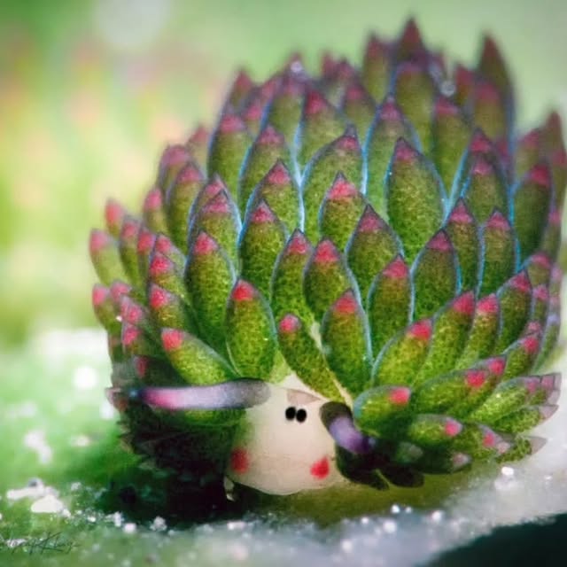 Post by kathrin_underwater