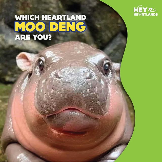 Post by heyheartlands