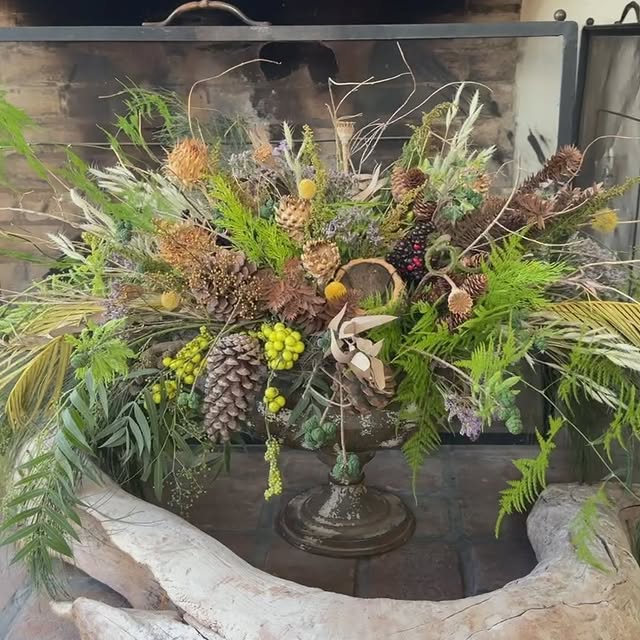 Post by taufferdeisi