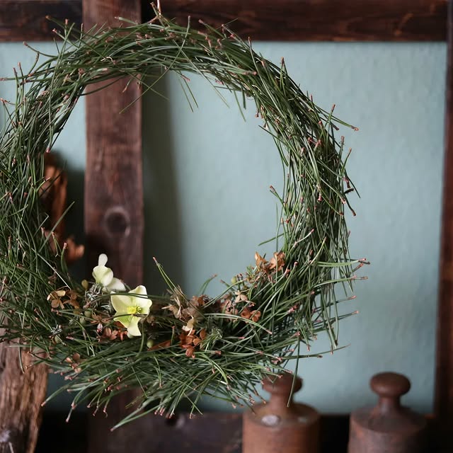 Post by brodkorbsophie