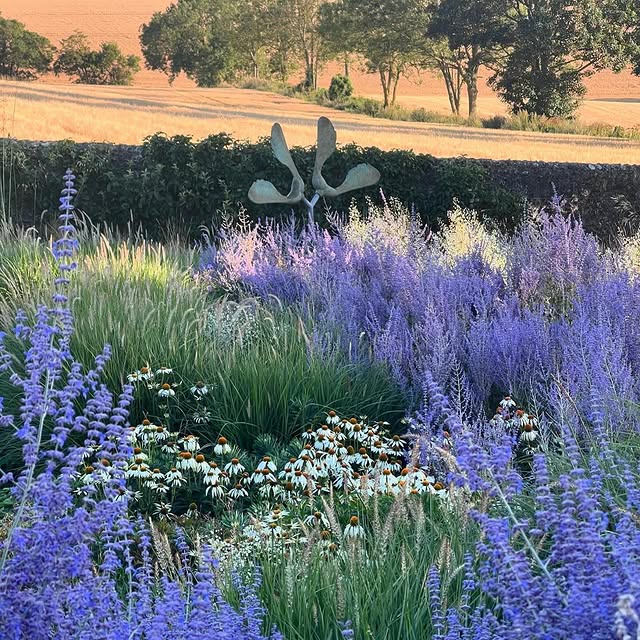 Post by acreswildgardendesign