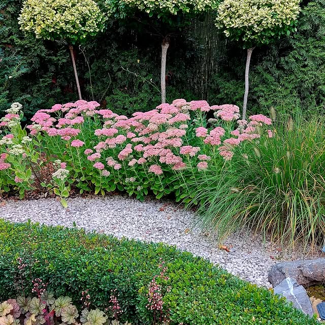 Post by imperfect_garden_pl