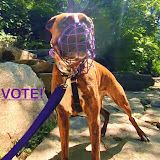 Lennytheboxer22's profile picture