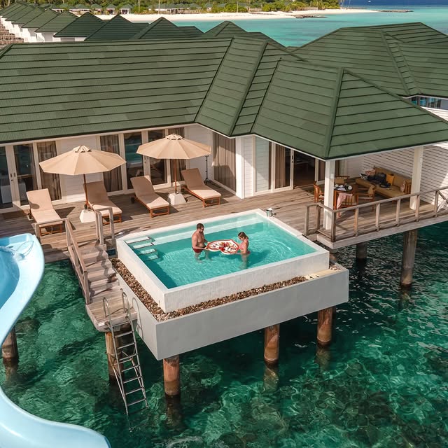 Post by hummingbirdtravel