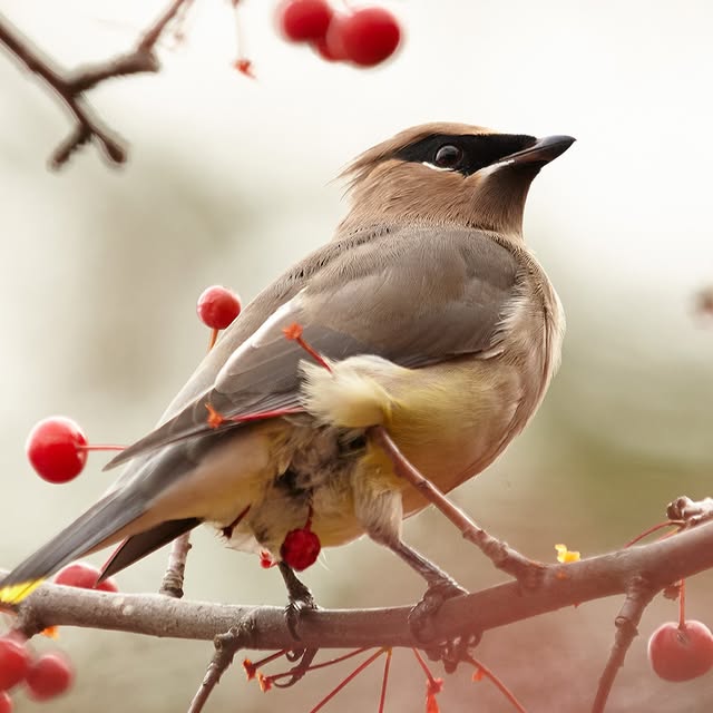 Post by gardengatemagazine