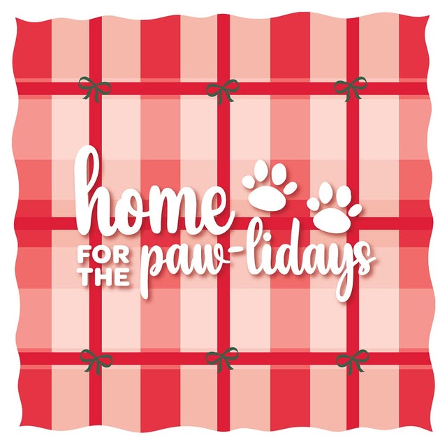 Post by carlsonpetproducts