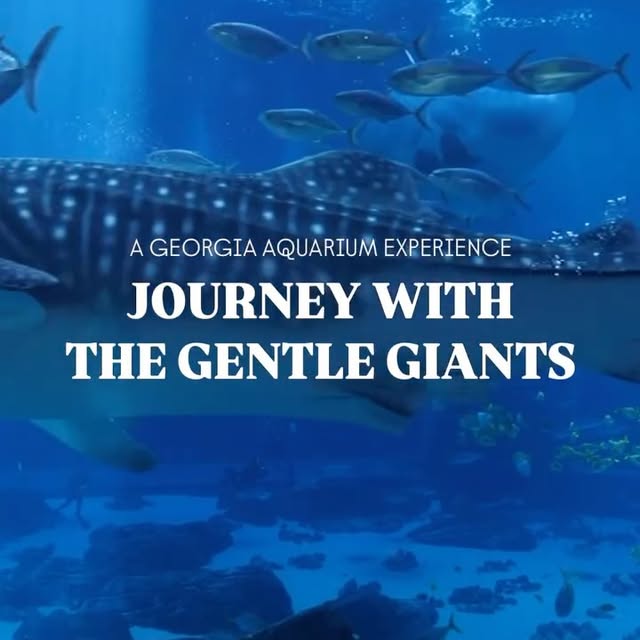 Post by homesbytaylor