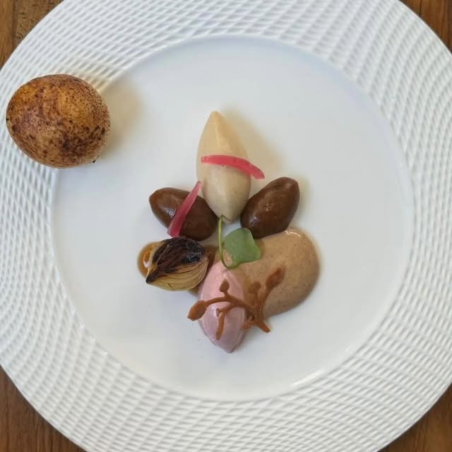 Post by coline_faulquier