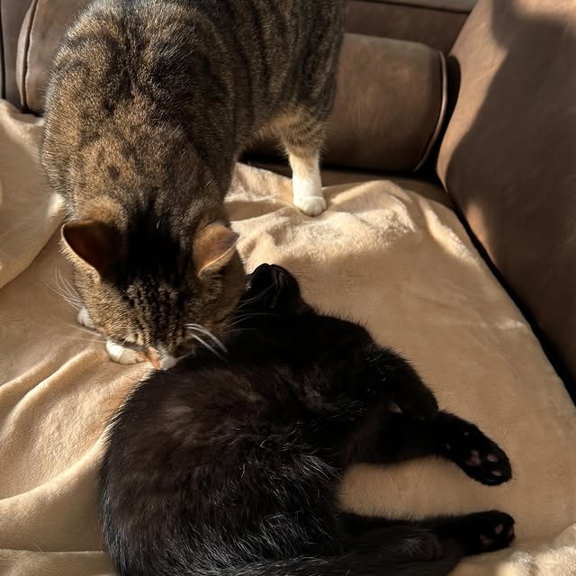 Post by cloudyhendry