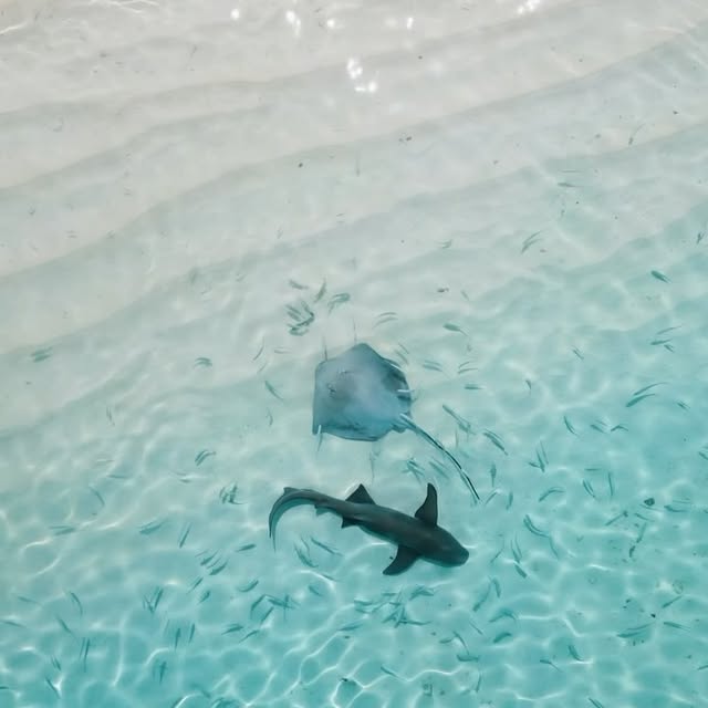 Post by alexkyddphoto