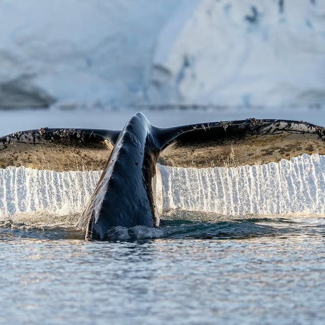 Post by jferraragallery