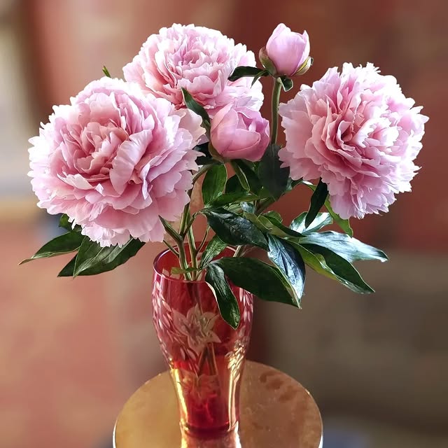 Post by galinakhabibova