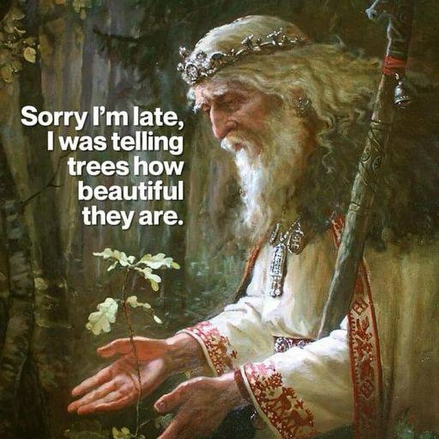 Post by judith.orloff.md