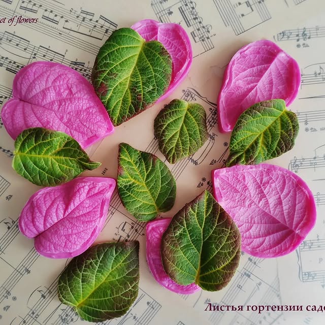 Post by bouquet_of_flowers_nm