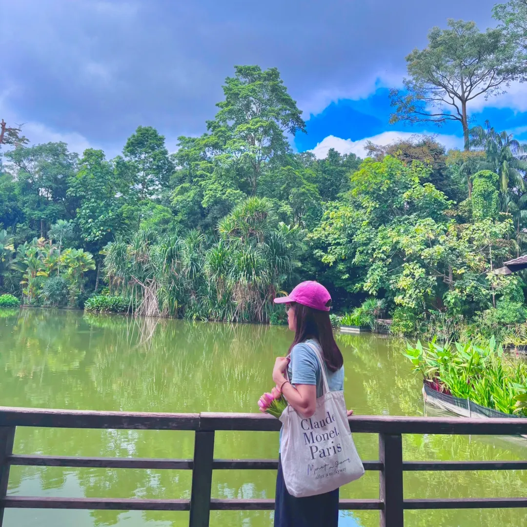 Lèo nhèo_in Singapore✅'s profile picture