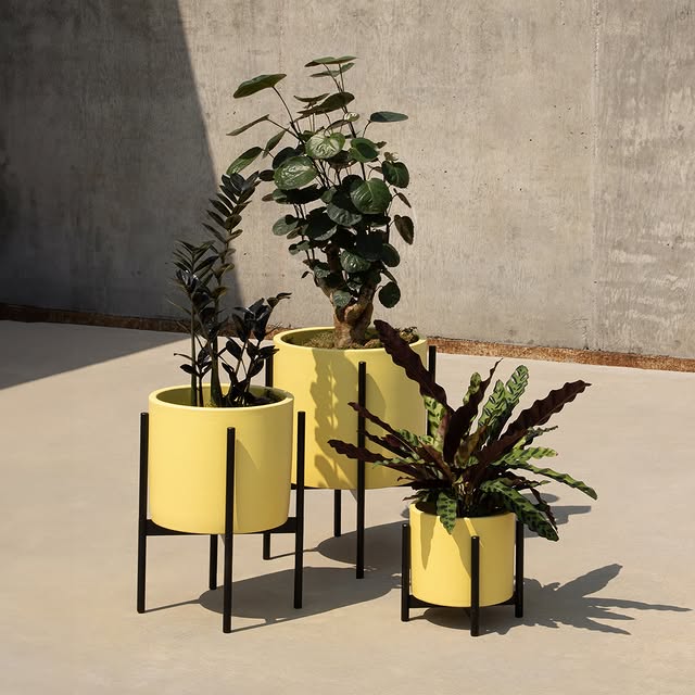 Post by modernica