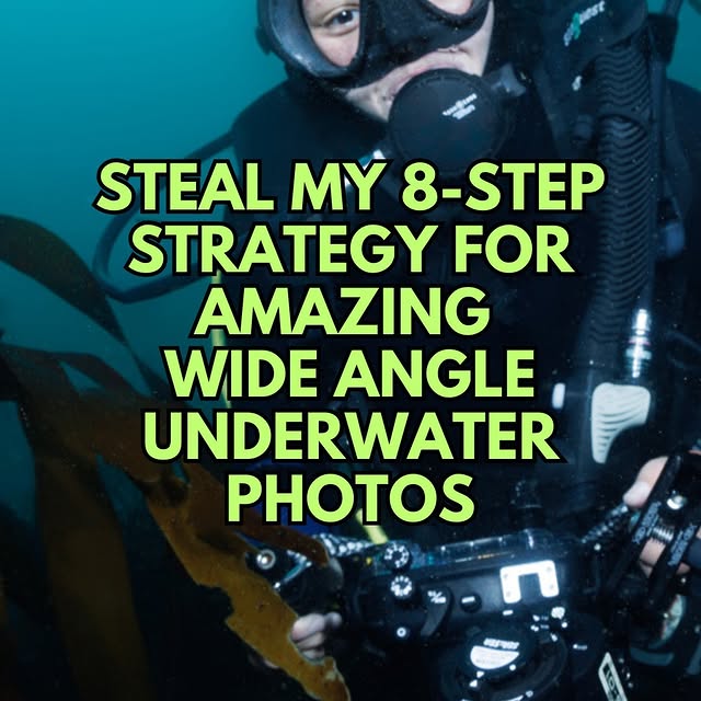 Post by katejonkerphotography