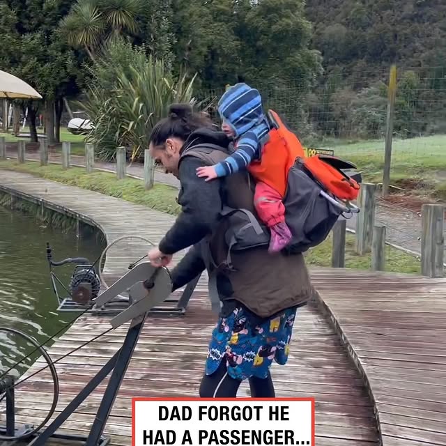 Post by ladbible