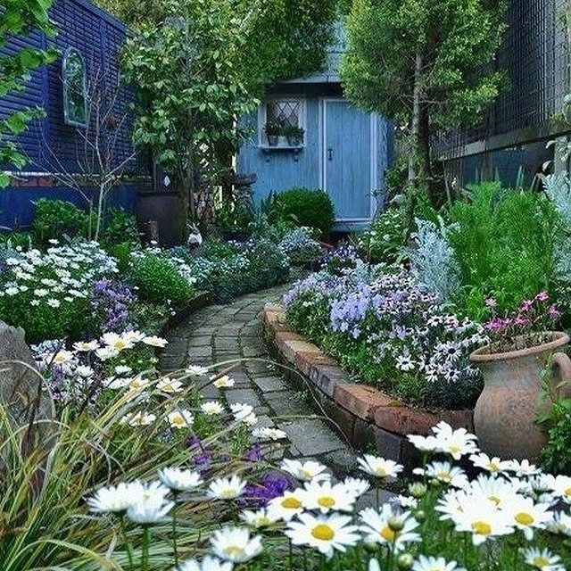 Post by thegardeningspirit