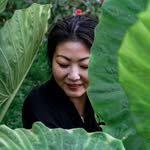 Anjie Cho | Holistic Spaces's profile picture