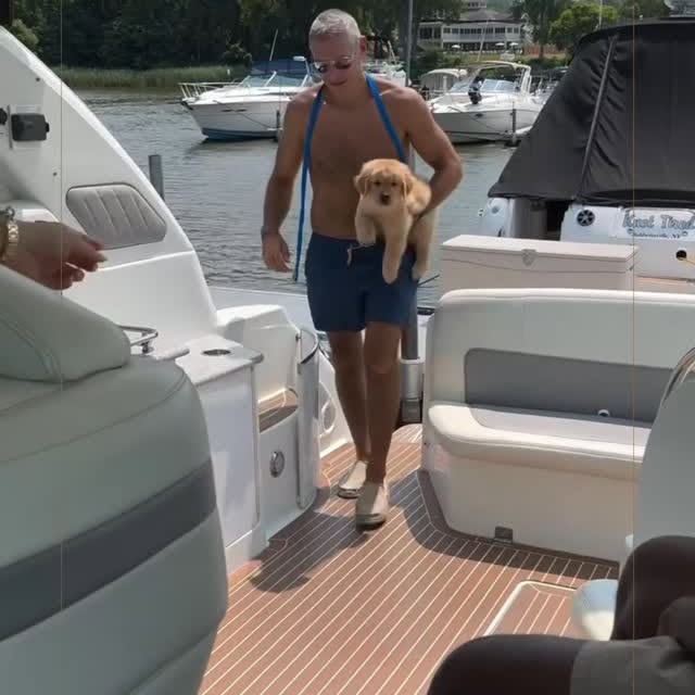 Post by thebillionairesclub