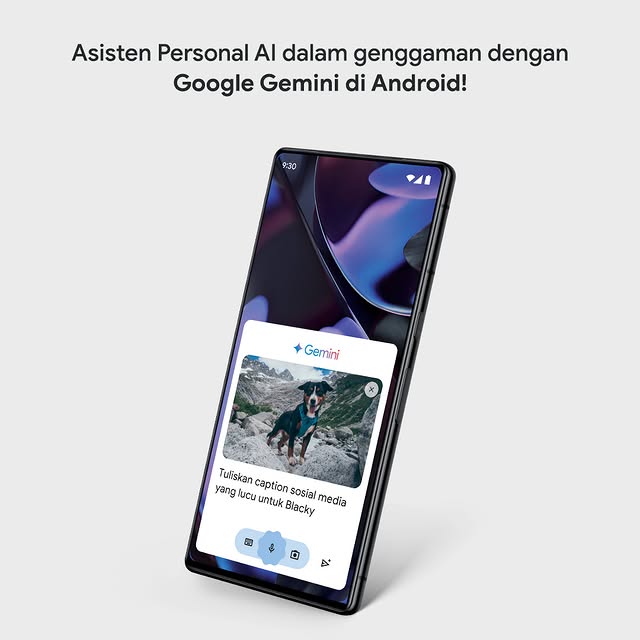 Post by erafonestores