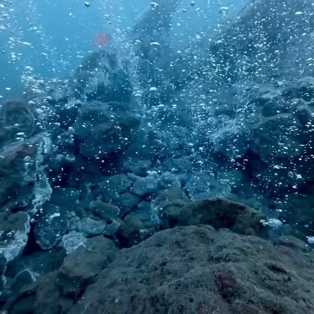 Post by kingkongdivingsg