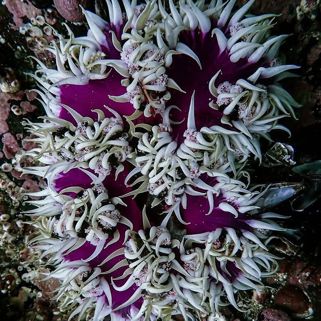 Post by fishportrait